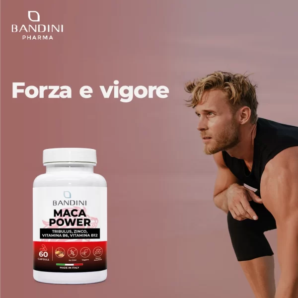 Maca Power – 60 Capsules - Image 2