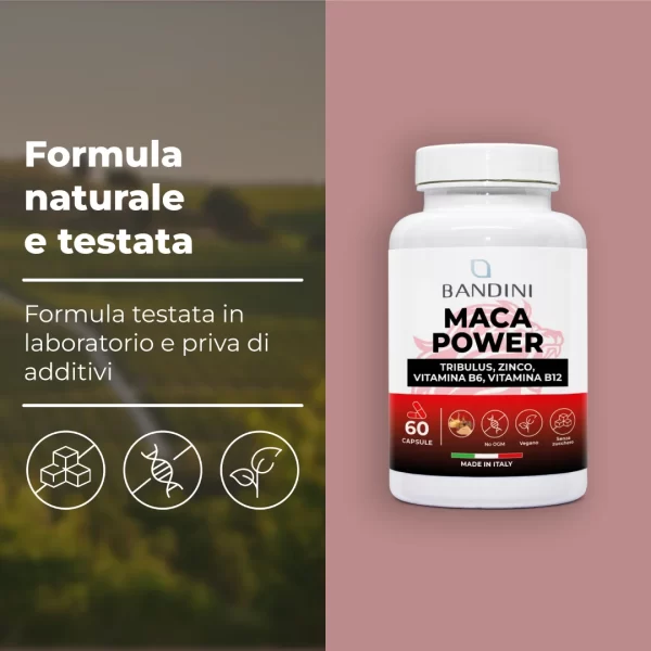 Maca Power – 60 Capsules - Image 4