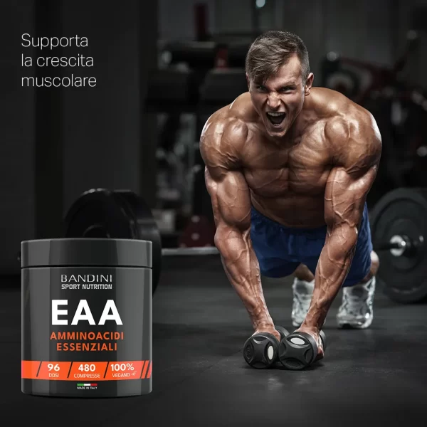 EAA Essential Amino Acids - 480 Tablets - Image 4