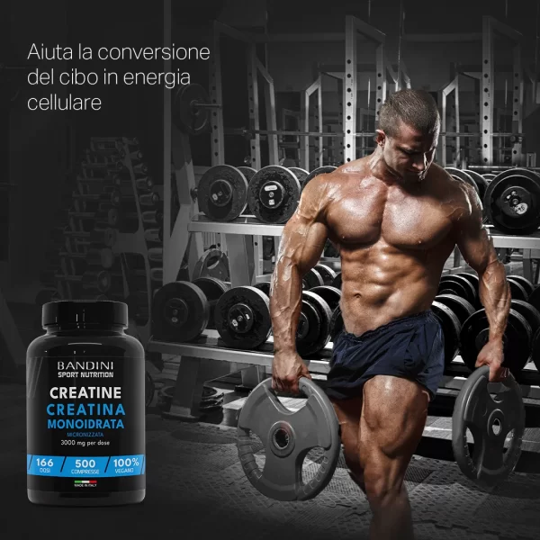Creatine Monohydrate - 500 Tablets - Vegan food supplement - Image 3