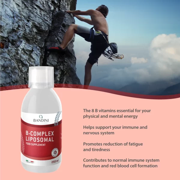 B Complex Liposomiale.pt01