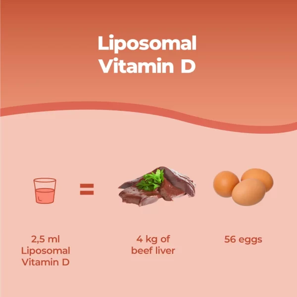 D Liposomiale.pt03