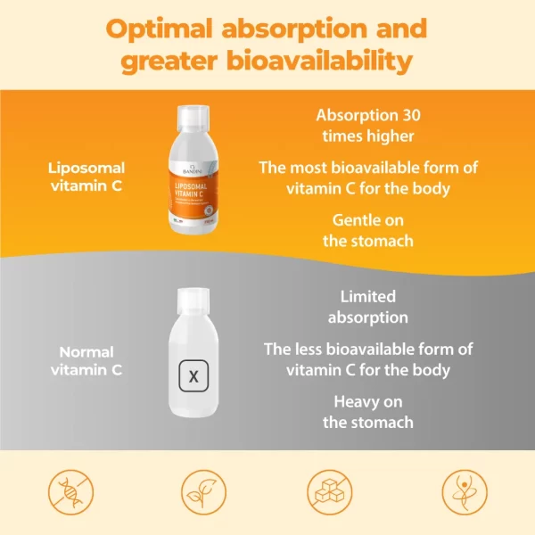 Vitamina C Liposomiale.pt02