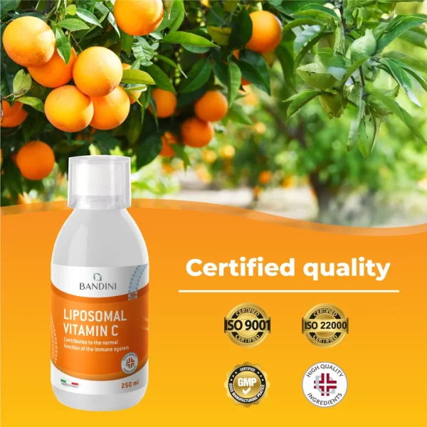 Vitamina C Liposomiale.pt05
