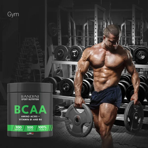 BCAA 500 supplement