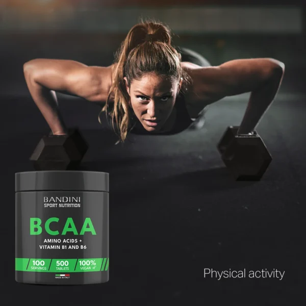 BCAA 500 supplement