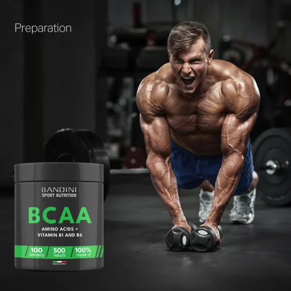 BCAA 500 supplement