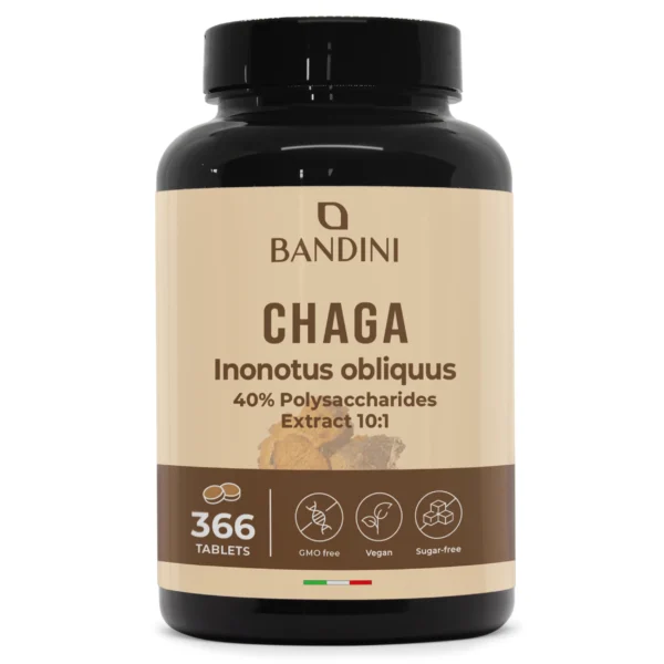 Chaga – 366 tablets