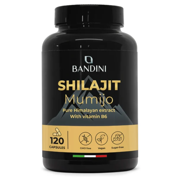Shilajit – 120 capsules