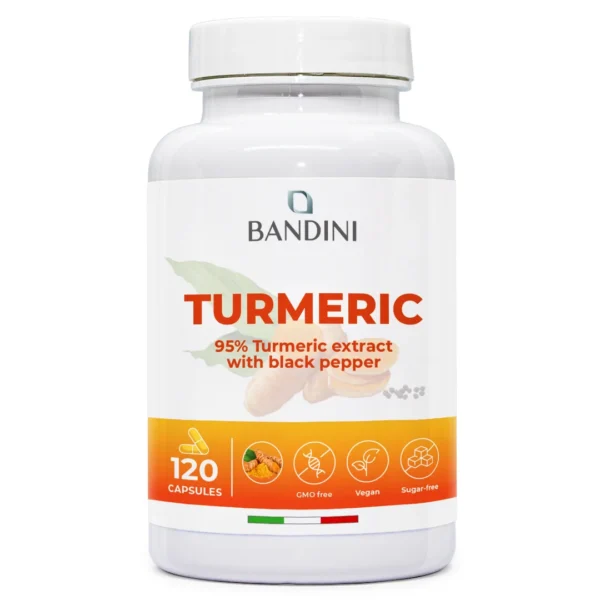 Turmeric Extract – 120 Capsules