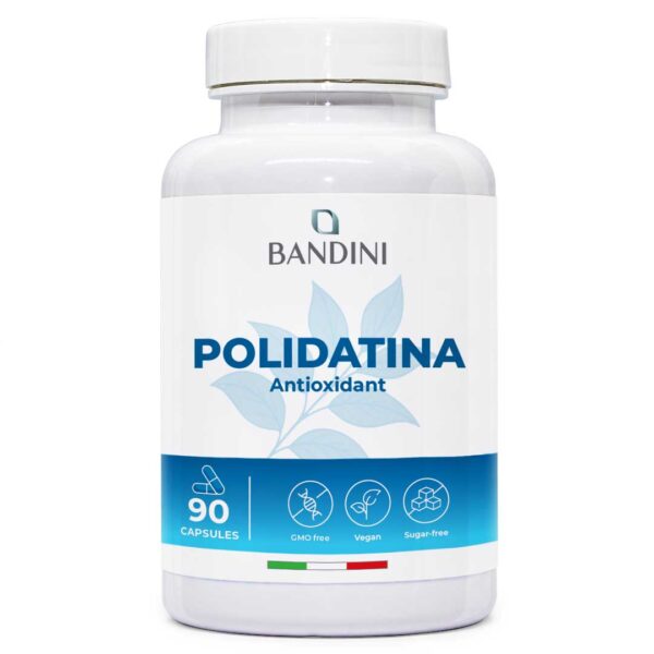Polydatin – 90 capsules