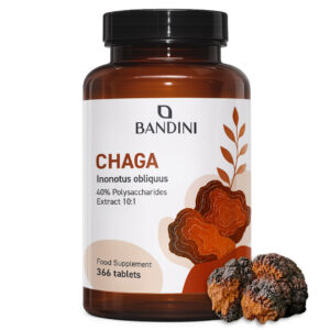 Chaga 366 tablets BANDINI main