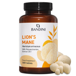 Lion s Mane 365 tablets BANDINI main