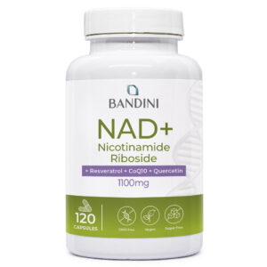 Liposomal NAD 120 Capsules BANDINI main
