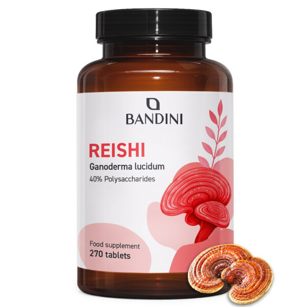 Reishi – 270 tablets