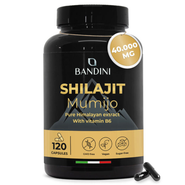 Shilajit – 120 capsules